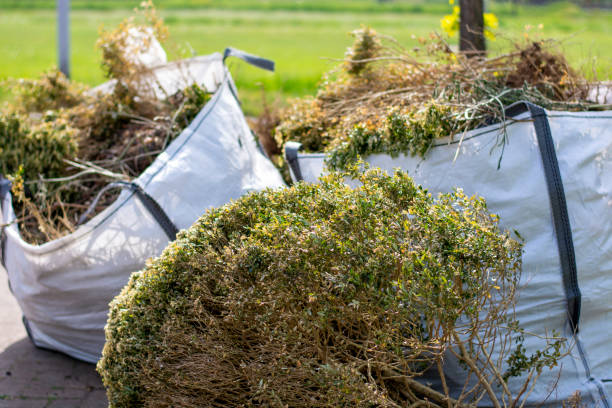 Best Construction Debris Removal  in Marshall, WI